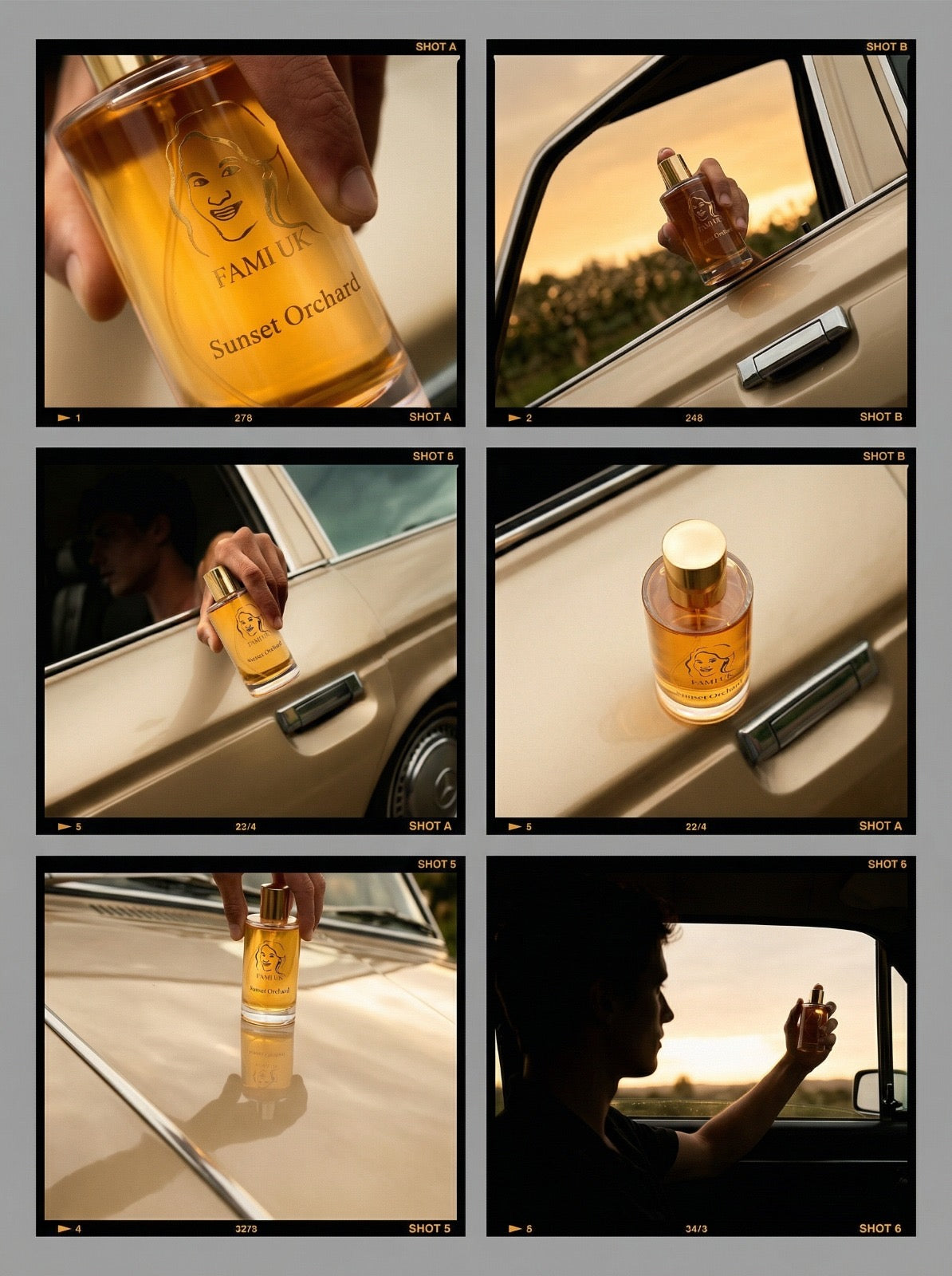 Sunset Orchard 